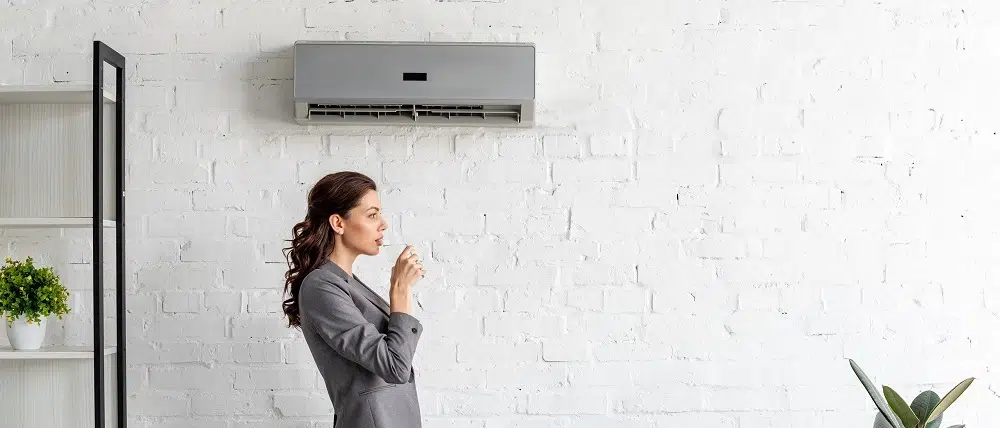 Klimatyzacja domowa – jak wybrać odpowiedni sprzęt?