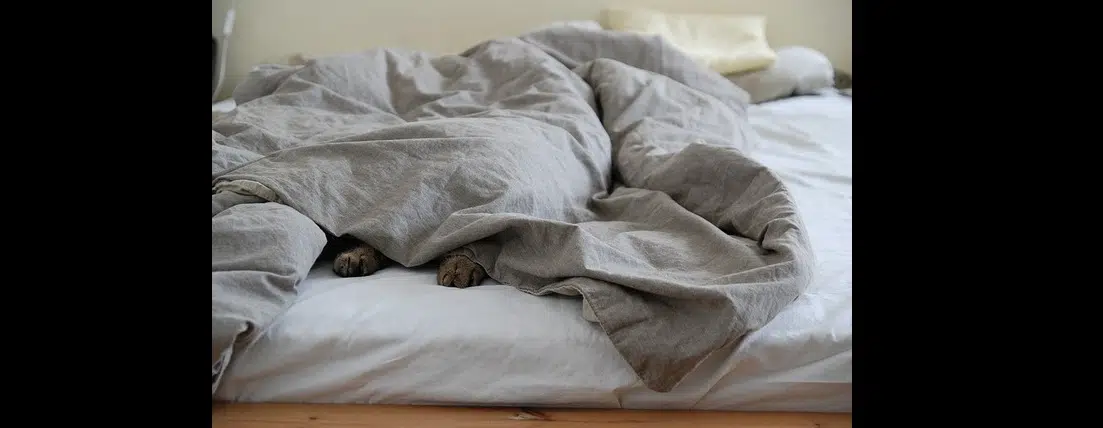 Wybór kołdry 200×200