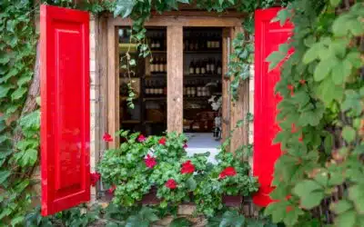 Piwnica na wino w ogrodzie – jak ją zbudować?