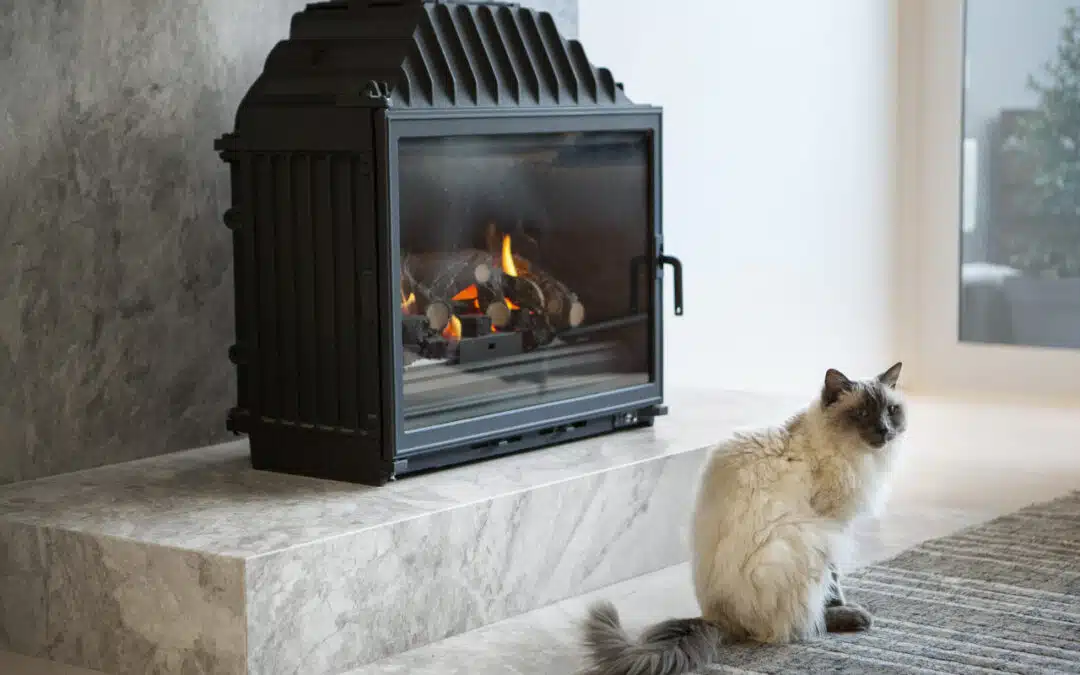 Kominki gazowe vs tradycyjne – analiza wydajności i opłacalności